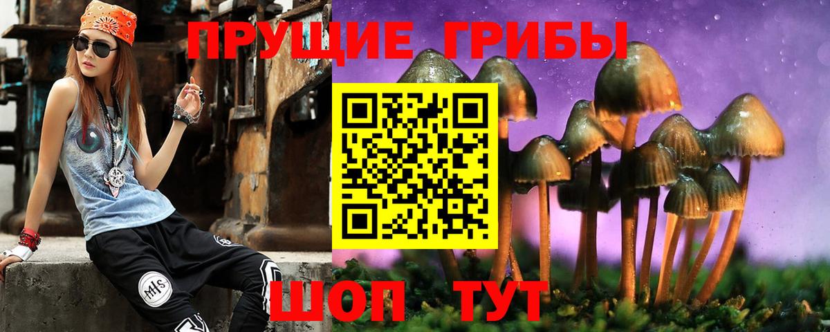 Галлюциногенные грибы мухоморы  Галлюциногенные грибы прущие грибы  купить наркотики цена  Альметьевск  Вход с VPN 