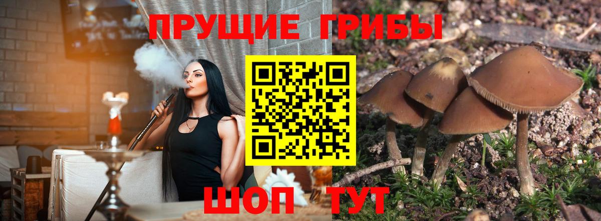 Псилоцибиновые грибы прущие грибы Альметьевск